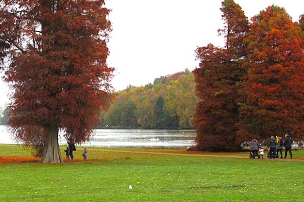 Clumber Park Gardens Autumn