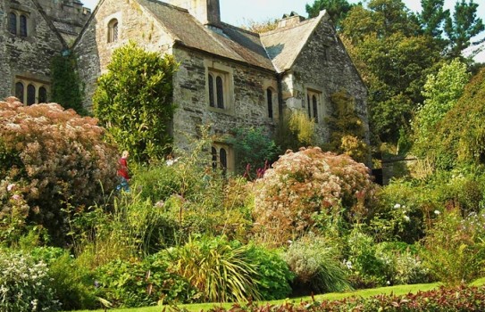 Cotehele Gardens Autumn