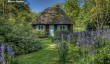 cottesbrooke-garden-2023.jpg