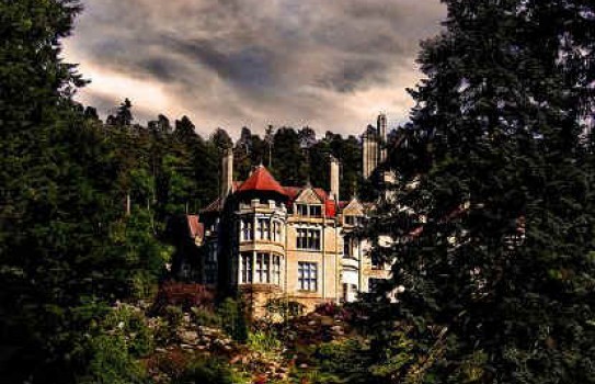 Cragside House Gardens