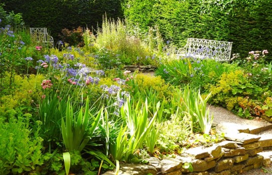 Croft Castle Gardens near Leominster