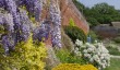 croft-castle-walled-garden.jpg