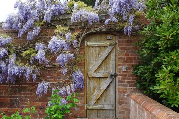 Croome Court Walled Garden