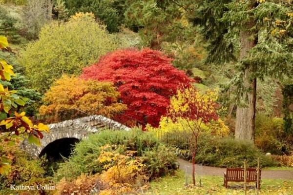 Dawyck Botanic Garden Autumn