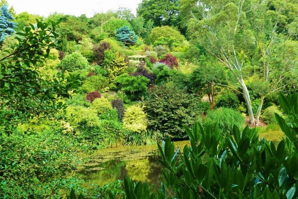 The Dingle Garden