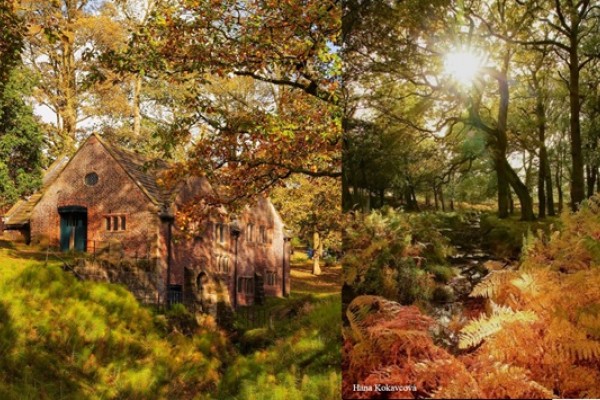 Dunham Massey Garden Autumn