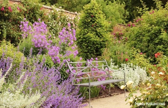 Dunham Massey Garden Summer