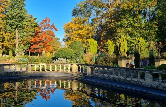 Easton Lodge Gardens Autumn