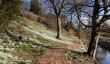 easton-walled-garden-snowdrops.jpg