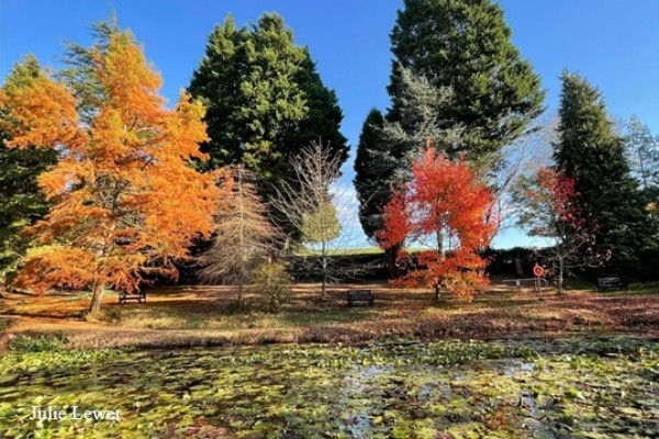 Furzey Gardens  Autumn