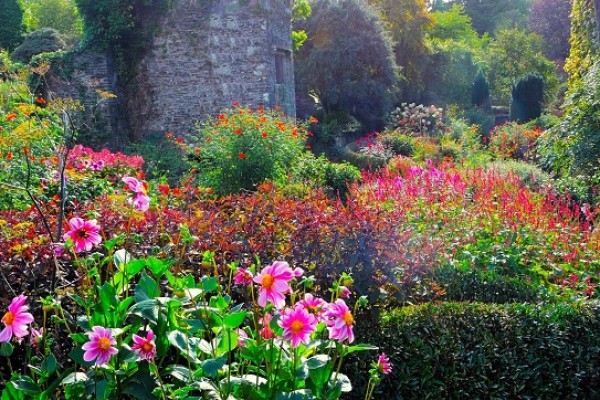 The Garden House, Devon