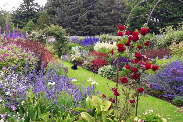 Gardens in Angus