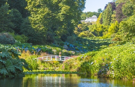 Trebah Gardens in Cornwall