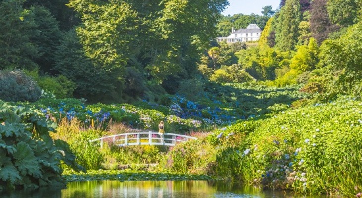 Trebah Gardens in Cornwall