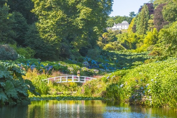 Trebah Gardens in Cornwall