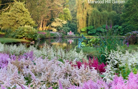 Gardens in Devon