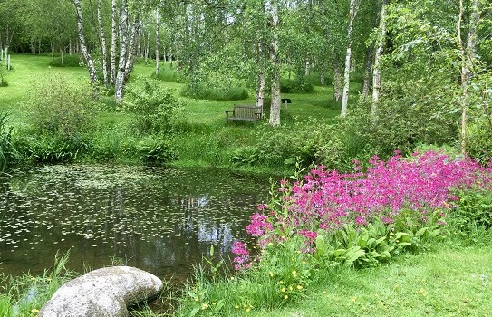 Stone Lane Gardens to visit on  Dartmoor