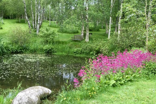 Stone Lane Gardens to visit on  Dartmoor