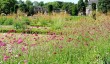 gardens-staffordshire.jpg