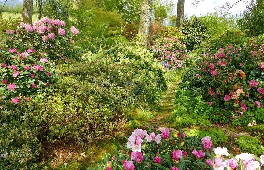 Gelli Uchaf Gardens, Carmarthenshire