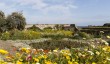gertrude-jekyll-lindisfarne-garden.jpg