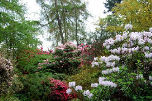 Glendoick Gardens near Perth