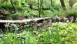 greba-garden.jpg