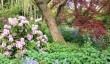 greba-gardens-2025.jpg