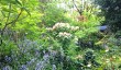 greba-gardens-county-down.jpg
