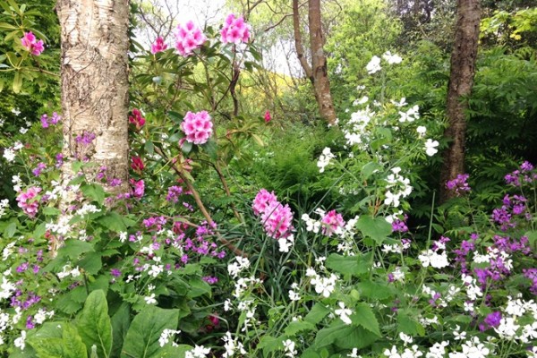 Greba Gardens