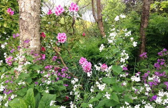 Greba Gardens Greba Gardens