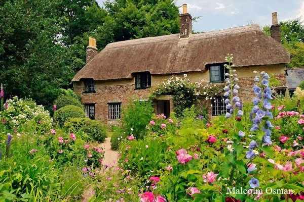 Thomas Hardy's Cottage Garden