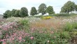 hauser-wirth-garden-4.jpg