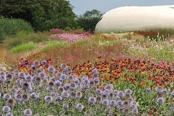 Garden in Somerset  designed by  Piet Ouldolf