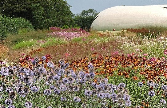 Garden in Somerset  designed by  Piet Ouldolf