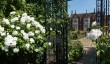 helmingham-hall-roses.jpg