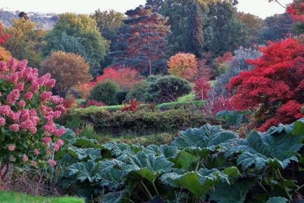 High Beeches Garden Autumn
