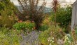 highfield-farm-garden-image.jpg