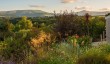 highfield-farm-garden-monmouthshire.jpg