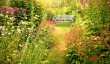 highfield-farm-garden-pontypool.jpg