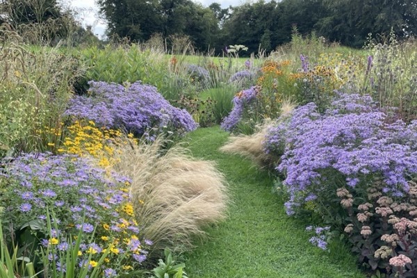Highfield Farm Gardens