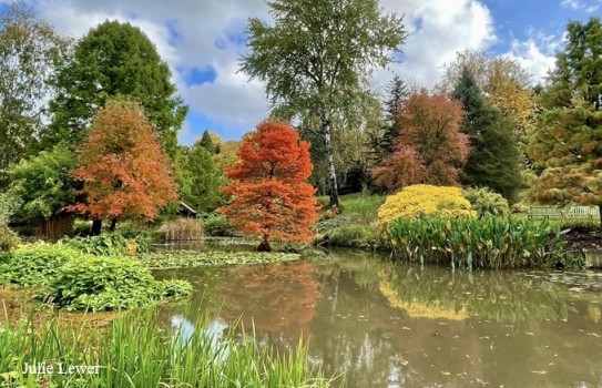 Sir Harold Hillier Gardens Autumn Sir Harold Hillier Gardens Autumn