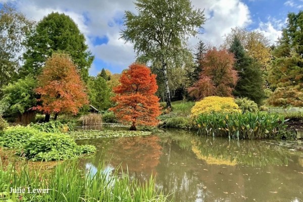 Sir Harold Hillier Gardens Autumn