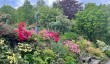 himalayan-garden-yorkshire.jpg