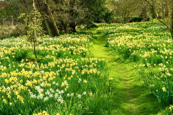 Hindringham Hall Garden