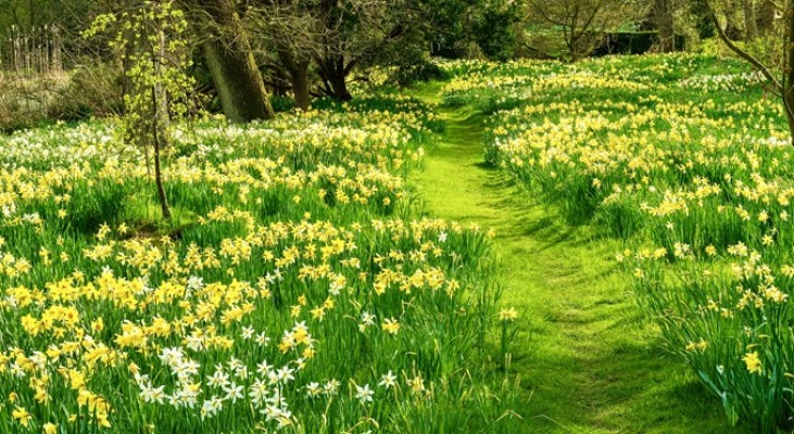 Hindringham Hall Garden