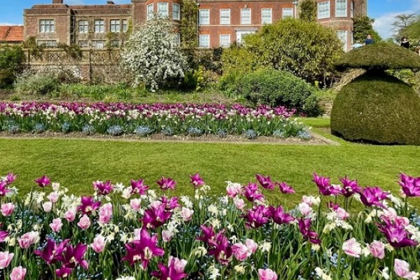 Hinton Ampner Gardens Tulips