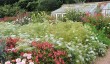 hinton-ampner-walled-gardens.jpg