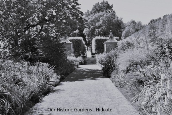 Historic Gardens - Garden Museum London