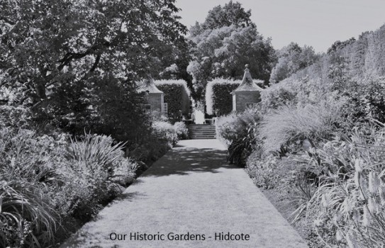 Historic Gardens - Garden Museum London Historic Gardens - Garden Museum London